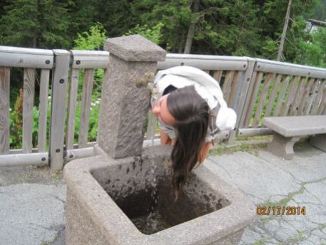 Fountain in the Alps